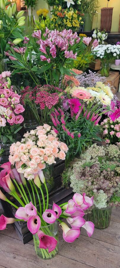 Étal de fleurs fraîches : callas roses, gerbera et alstroemères