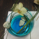 Galerie de compositions Cap Vert - Photo 11