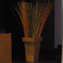 Location de plantes et decorations Pro, Cap Vert - Photo 08