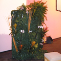 Location de plantes et decorations Pro, Cap Vert - Photo 10