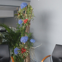 Location de plantes et decorations Pro, Cap Vert - Photo 15