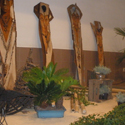 Location de plantes et decorations Pro, Cap Vert - Photo 21