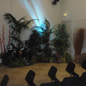 Location de plantes et decorations Pro, Cap Vert - Photo 25