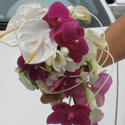 Bouquets de mariage et compositions,  Cap Vert - Photo 03