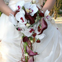 Bouquets de mariage et compositions,  Cap Vert - Photo 04