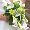 Bouquets de mariage et compositions,  Cap Vert - Photo 06