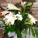 Bouquets de mariage et compositions,  Cap Vert - Photo 16