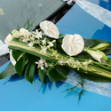 Bouquets de mariage et compositions,  Cap Vert - Photo 20