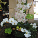 Bouquets de mariage et compositions,  Cap Vert - Photo 25