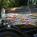 Bouquets de mariage et compositions,  Cap Vert - Photo 33